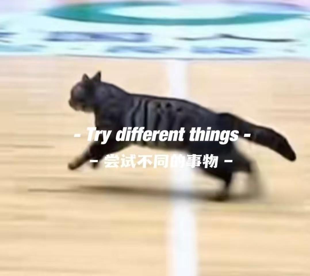 世界杯直播入口-猫猫也想打球，广东四川CBA比赛中场地内跑进一只小猫